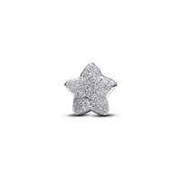 Charm Pandora Donna in Argento 794050C00 - 794050C00